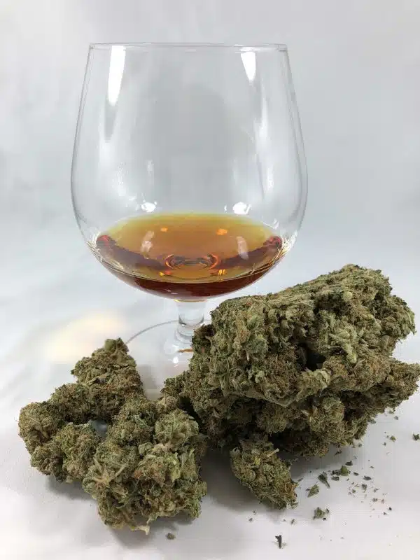 What Are The Differences Between Indica, Sativa And Hybrid Strains?
