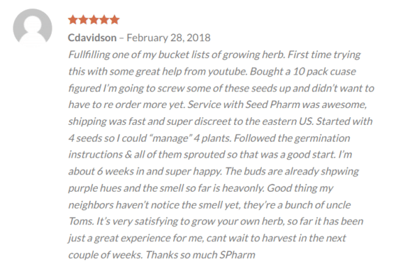 Where to Buy Marijuana Seeds