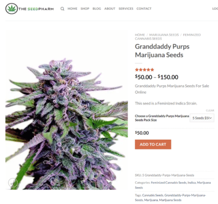 Where to Buy Marijuana Seeds