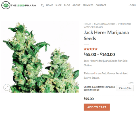 Hydroponic vs Soil: Best Way to Grow Marijuana