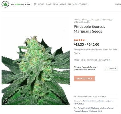 Where to Buy Marijuana Seeds