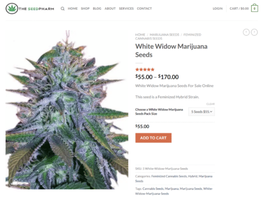 Hydroponic vs Soil: Best Way to Grow Marijuana