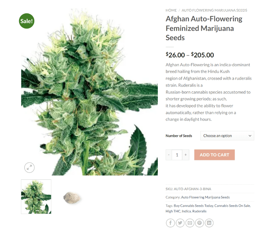 Afghan Autoflowering Marijuana Seeds