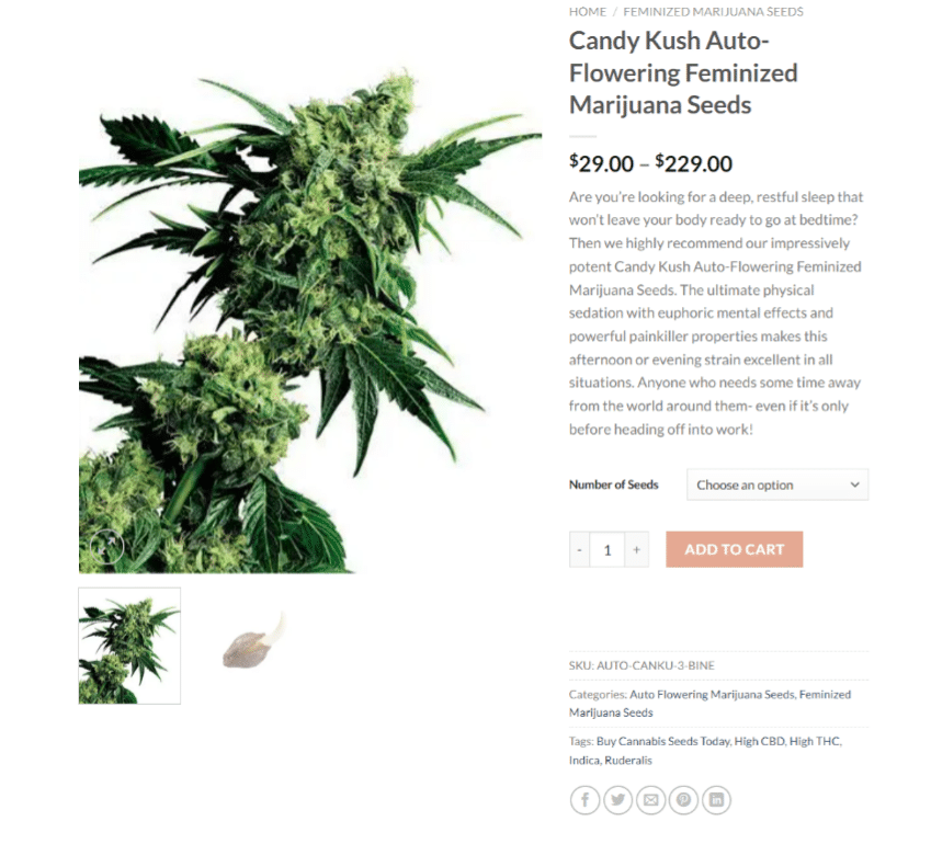 Candy Kush Autoflowering Marijuana Seeds