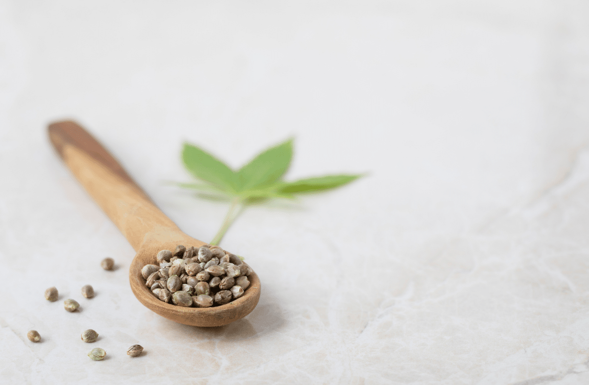 What Is Feminized Marijuana Seeds
