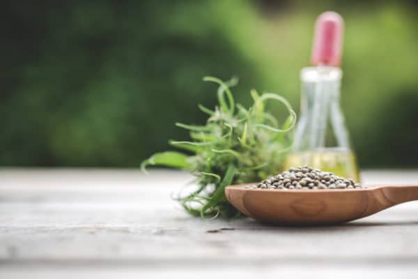 Cannabis, Cannabis seeds, Cannabis oil Placed on a wooden floor