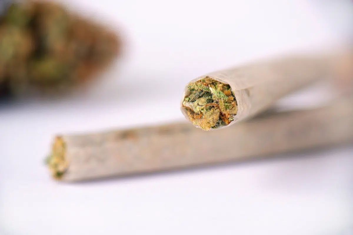 Blunt Vs Joint Vs Spliff – Key Differences Marijuana Joint