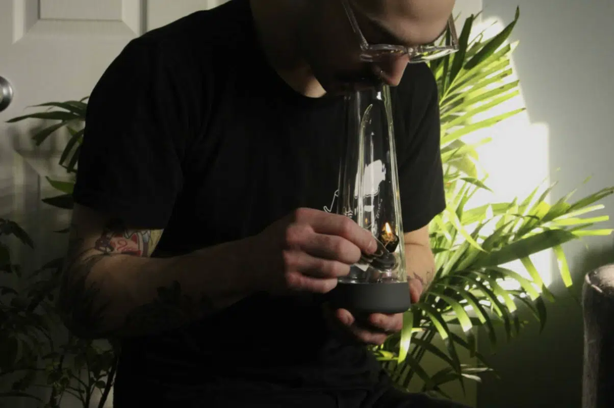 Is Bong Water Good For Plants? | Dos And Don'Ts Guide To Growing Smoking Marijuana From Bong