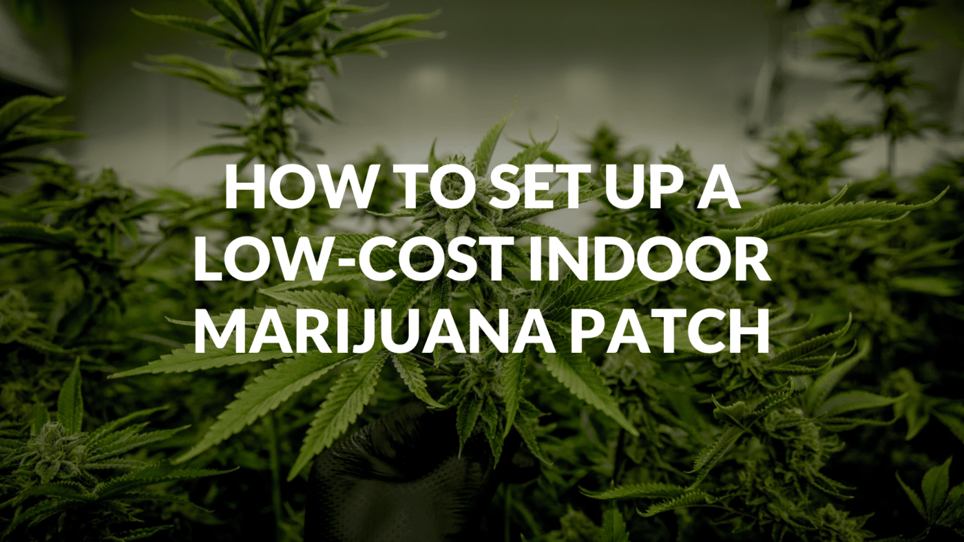 How To Set Up A Low-Cost Indoor Marijuana Patch