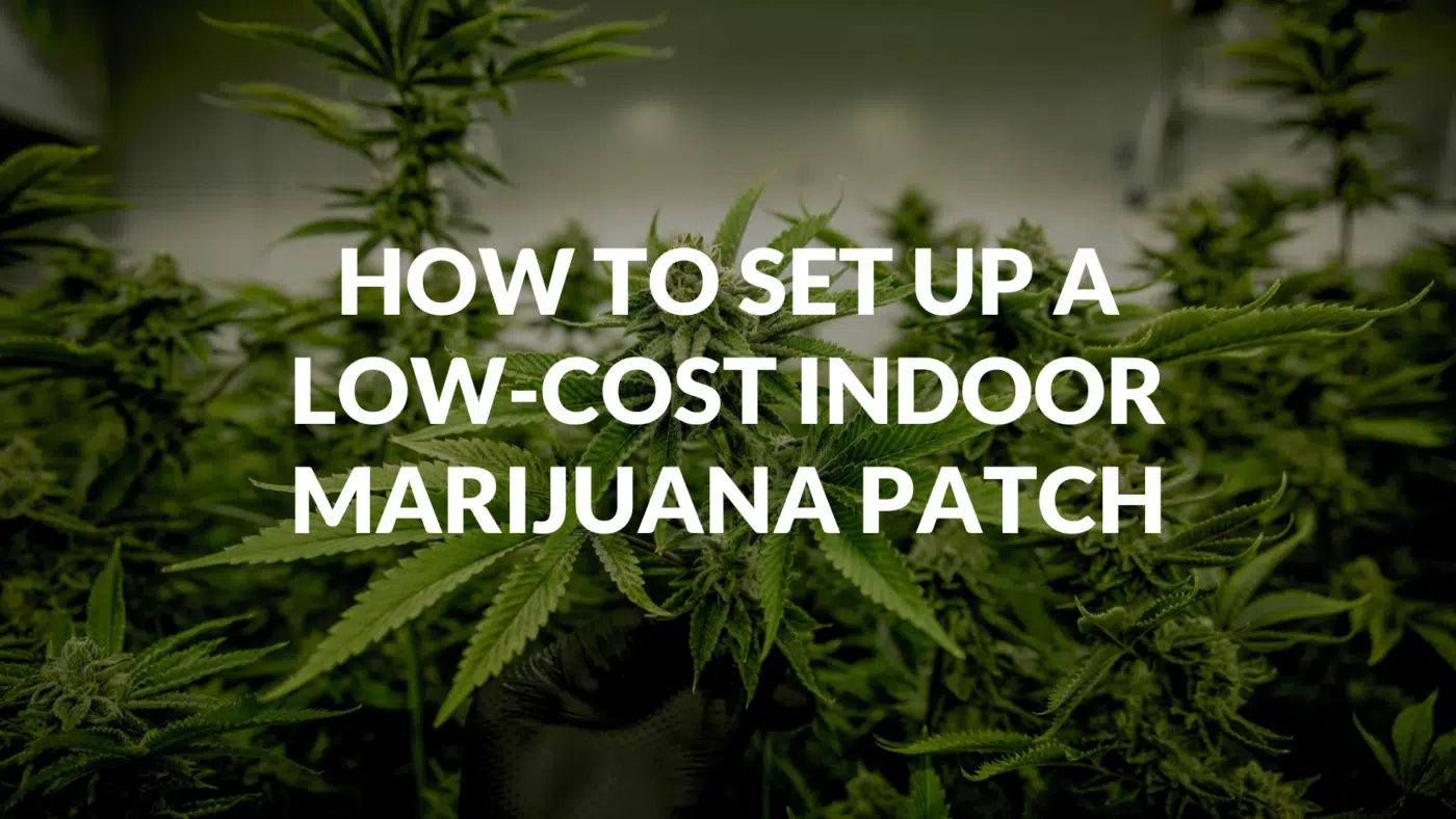 How To Set Up A Low-Cost Indoor Marijuana Patch How To Set Up A Low-Cost Indoor Marijuana Patch