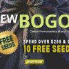 Promotional banner for 'Buy One Get One' offers. Spend $200 and receive 10 free seeds. Shop now for a variety of top-quality cannabis seeds.