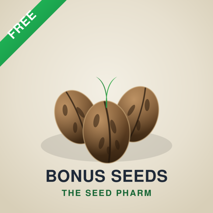 5 Free Bonus Seeds Free Bonus Cannabis Seeds From The Seed Pharm